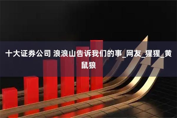 十大证券公司 浪浪山告诉我们的事_网友_猩猩_黄鼠狼